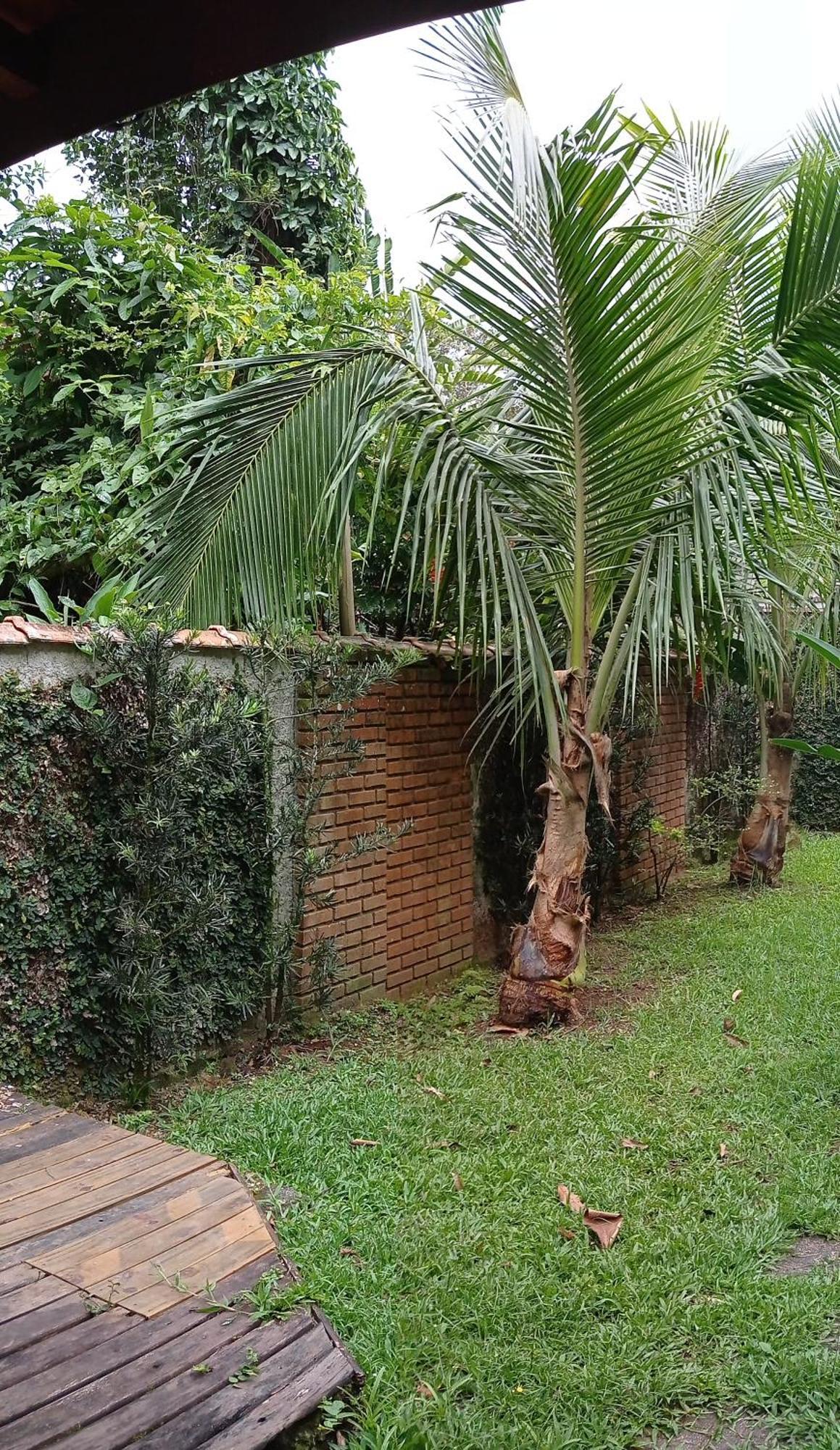 Casa Dos Coqueiros Praia De Camburi, Condominio กัมบูรี ภายนอก รูปภาพ